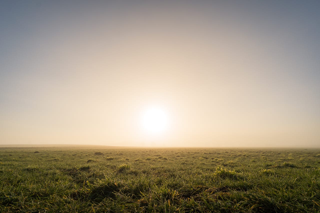 Eine ausgedehnte, grüne Landschaft mit sanftem Nebel, das im warmen Licht der aufgehenden Sonne steht.