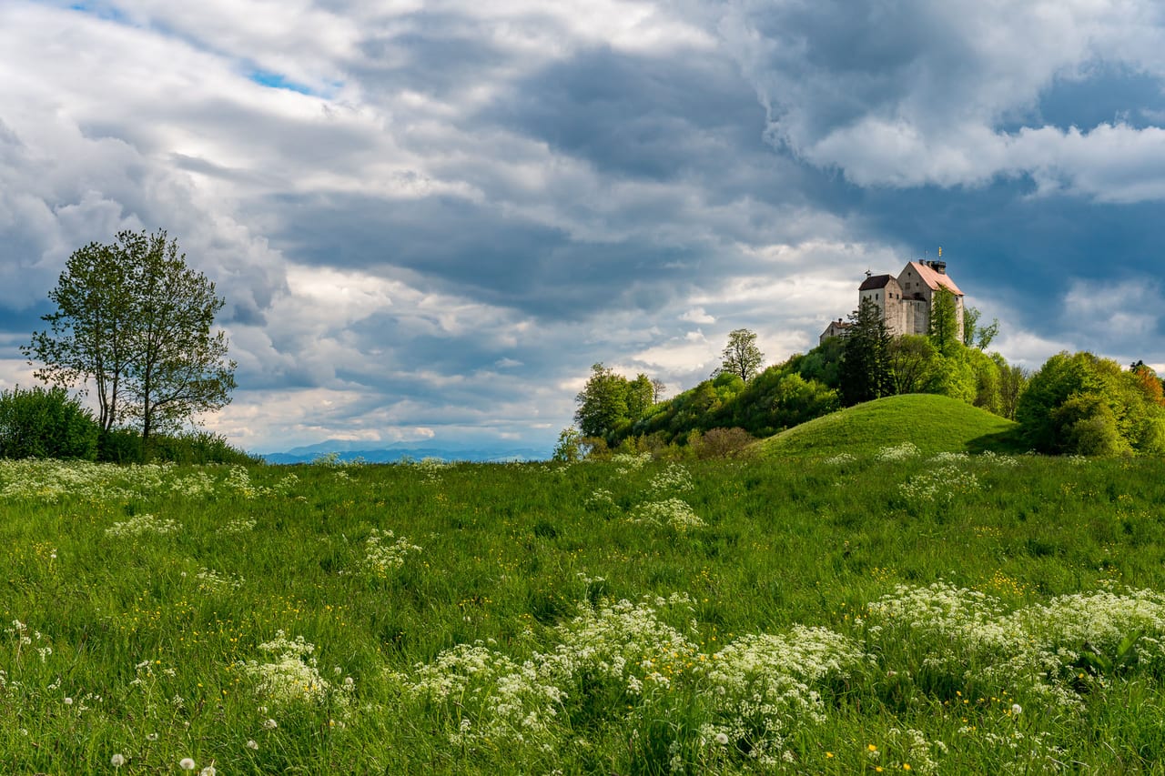 Eine malerische Burgruine thront auf einem sanft abfallenden Hügel, umgeben von üppigem Grün und wilden Blumenwiesen.