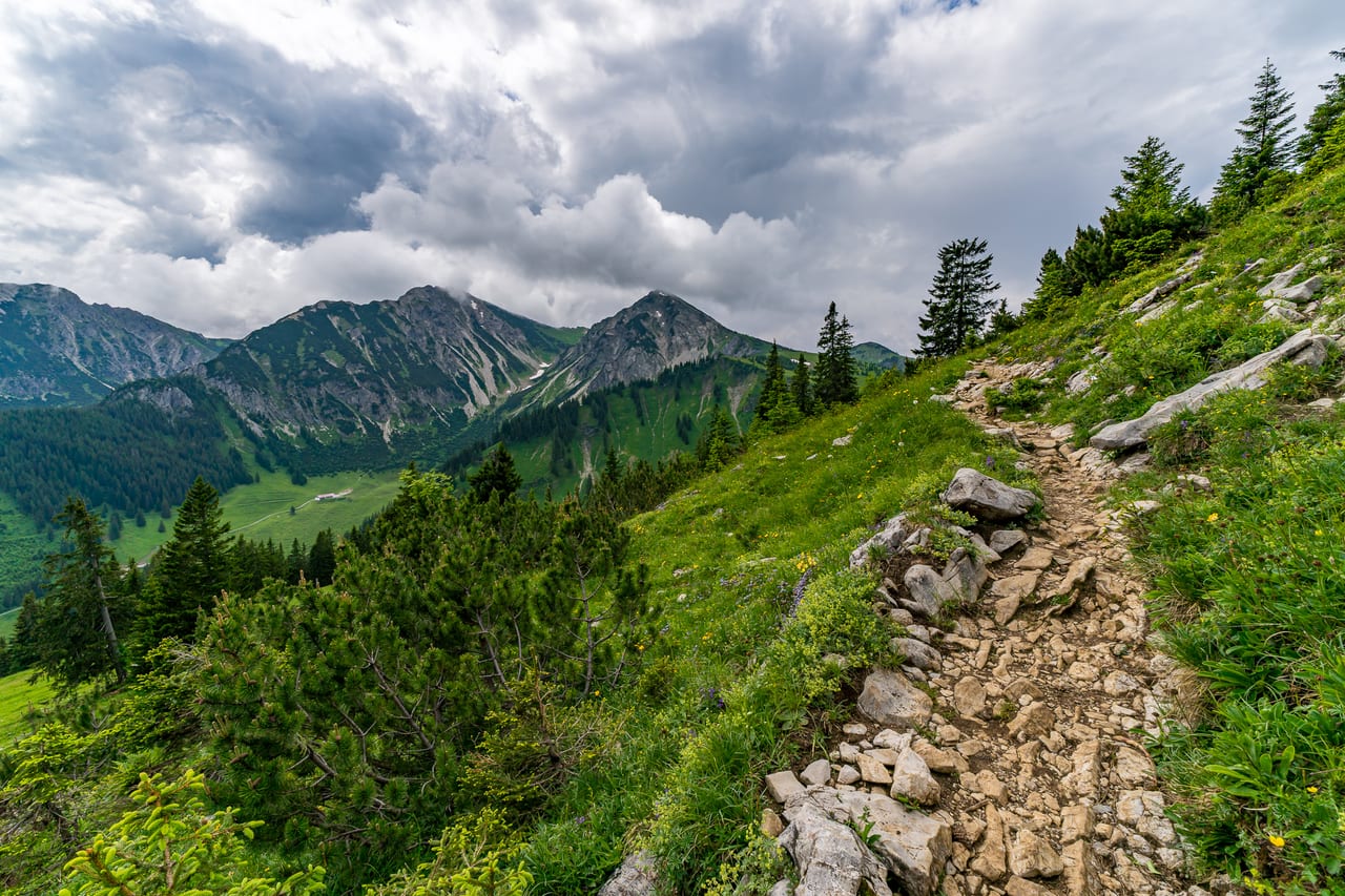 Ein schmaler, steiniger Pfad schlängelt sich durch ein üppiges Grünland mit Felsen und Bäumen.