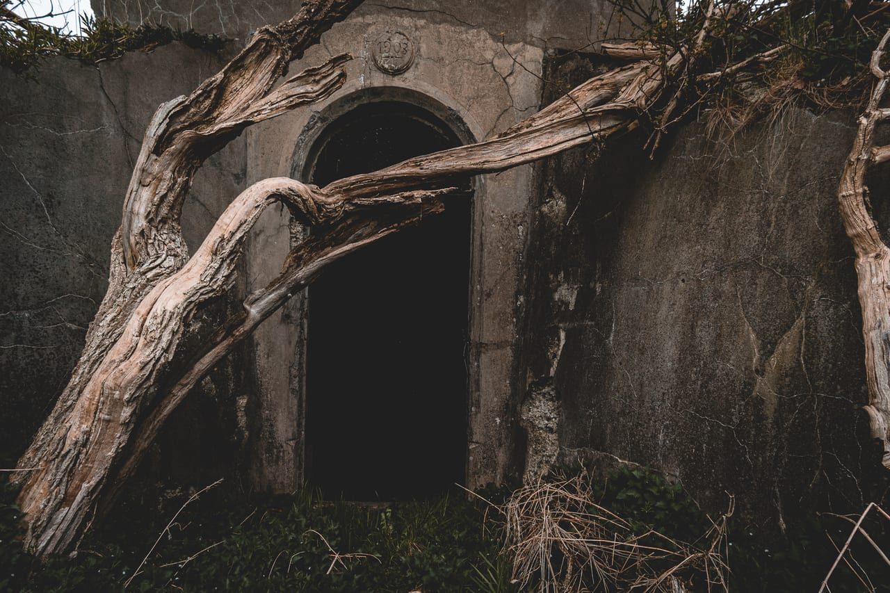 Ein von Moos und Pflanzen überwucherter, zerbröckelter Steinbogen mit einem dunklen Durchgang.