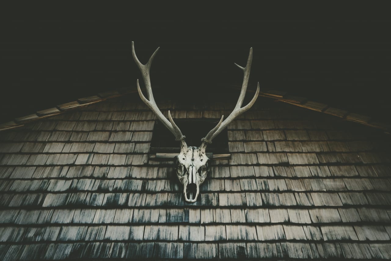 Ein verfallener Holzschindeldach-Bereich einer verlassenen Hütte, an dem ein präparierter Hirschschädel hängt.