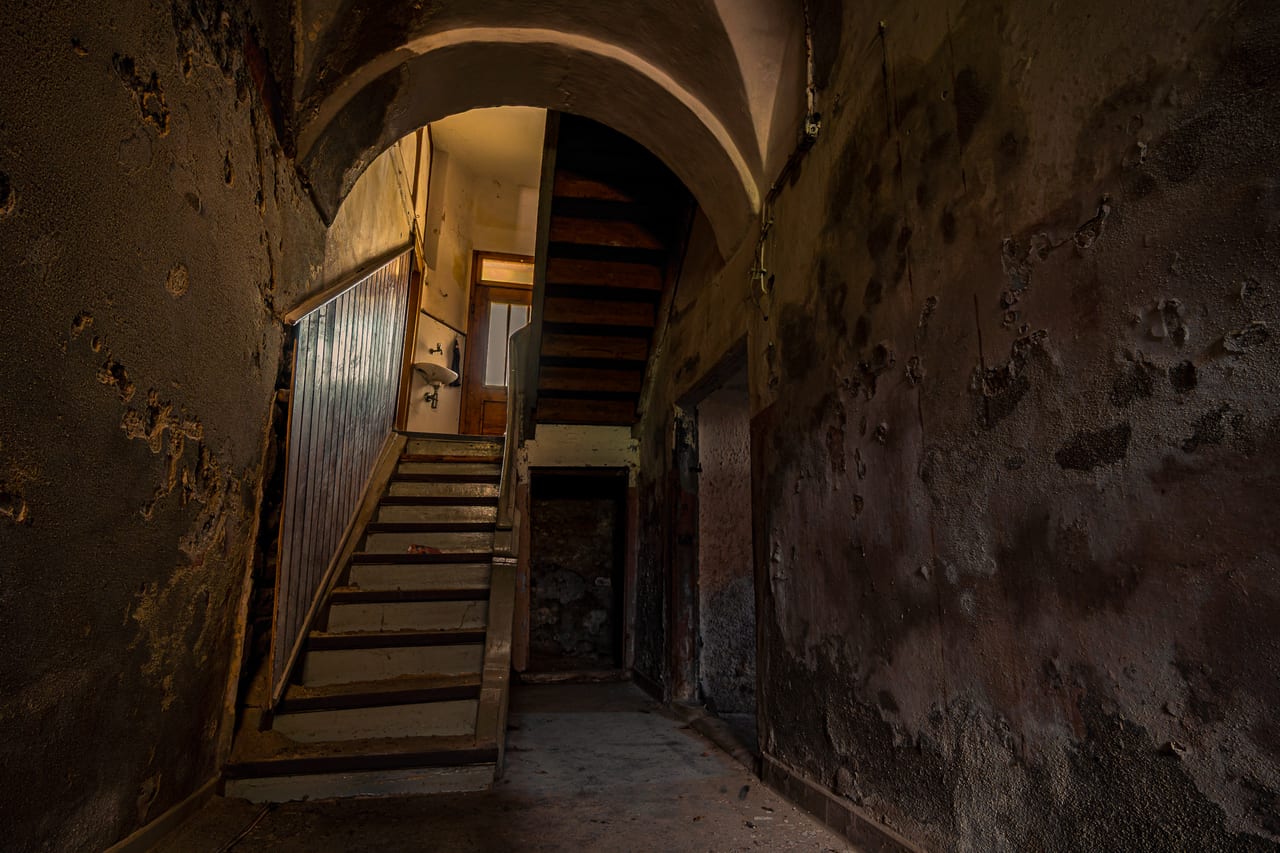 Eine schmale, abgetretene Holztreppe führt in einen dunklen, feuchten Untergrundbereich mit moosbewachsenen Wänden.